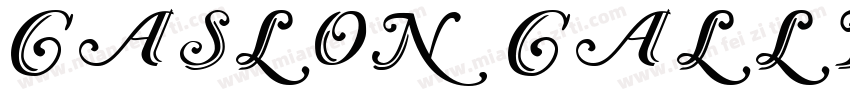 Caslon Calligraphic Initials字体转换
